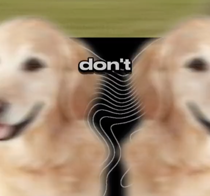 TikTok video
